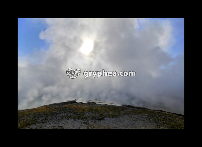 Vapeurs matinales (Yellowstone NP, Wyoming, USA) - gryphea.com